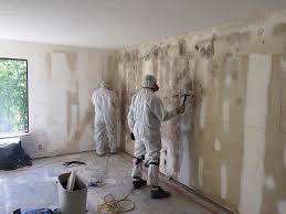 Why You Should Choose Our Mold Remediation Services in Ecru, MS